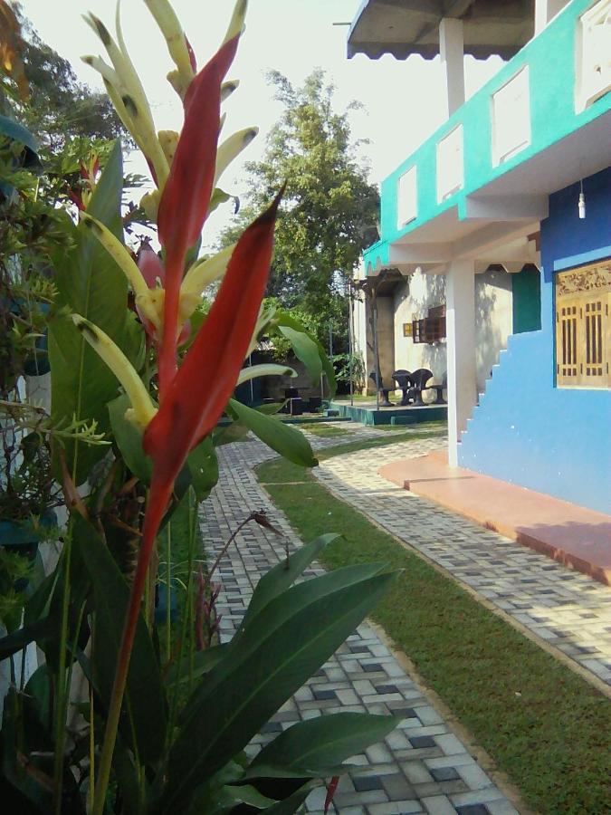 Thomasha Homestay Веллавая Екстер'єр фото