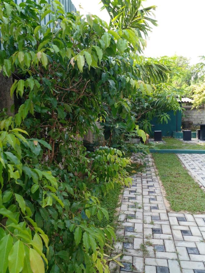 Thomasha Homestay Веллавая Екстер'єр фото
