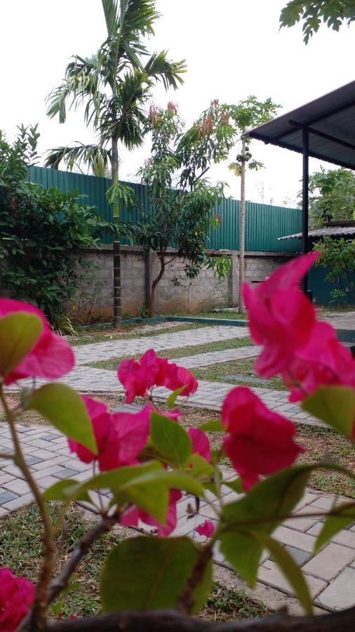 Thomasha Homestay Веллавая Екстер'єр фото